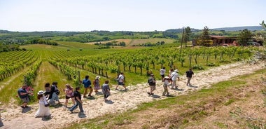 Dagsferð um Toskana frá Flórens: Siena, San Gimignano, Pisa og hádegisverður í víngerð