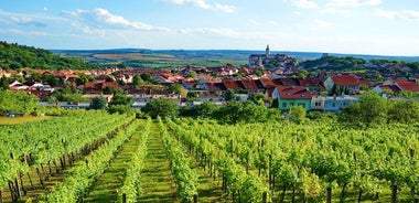 Südmähren Zwei-Tage-Reise Unesco-Kulturerbe mit Verkostung von lokalen Weinen