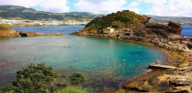 Whales and Dolphins + Vila Franca Islet (giornata intera con pranzo)