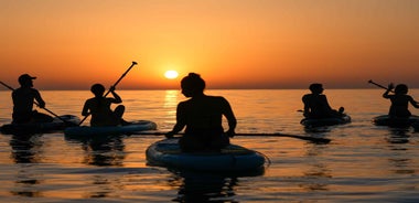 Barcelona: Sunrise Paddleboarding with Instructor and Photos