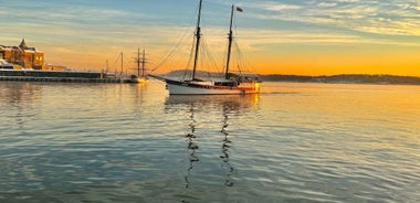 Oslo: Oslo Fjord Sightseeing Cruise by Sailing Ship