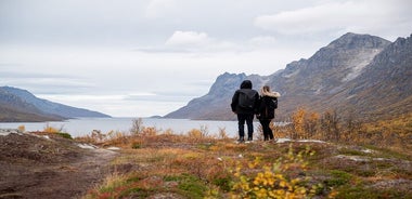 Arctic Road Trip from Tromso: Fjords with Scenic Picnic at Kvaloya Island, Norway