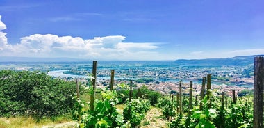 Vallée du Rhône nord, Tain l'hermitage et ses vins