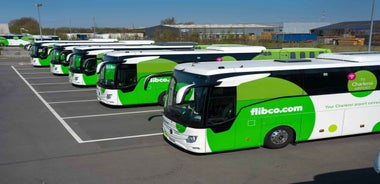 Charleroi Airport/Brussels: Bus Transfer to/from CRL Airport