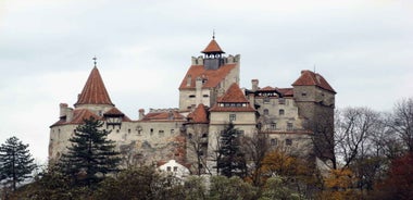 Bucharest: Bran & Peles Castle with Rasnov Citadel Day Trip