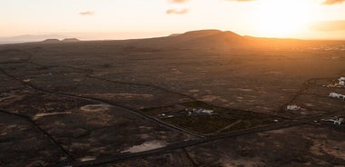 Vineyard Tour with Wine and Cheese Tasting in Fuerteventura