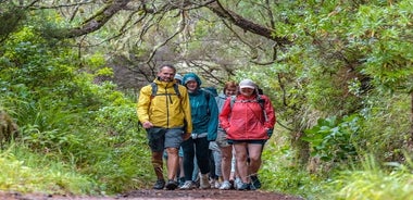 Tour di un giorno in 4X4 di Skywalk e Rabacal "passeggiata delle 25 fontane di Levada" 