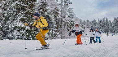 Escursione con le ciaspole nel Paese delle Meraviglie Invernali - Oslo