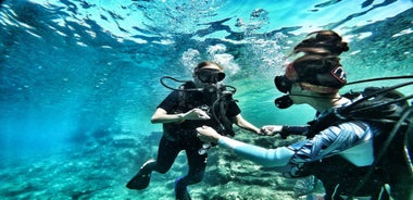 Malta: Scuba Diving Lesson & Guided Excursion