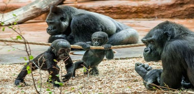 Prague Zoo: Skip-the-Line Entry Ticket