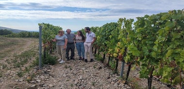  Visite de dégustation de vins dans la région viticole de Tokaj en Slovaquie