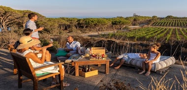 Alcôve du vigneron à la Tenuta delle Ripalte