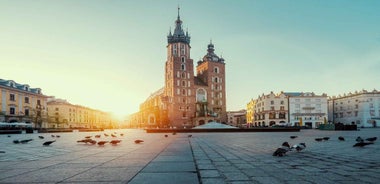 St. Mary's Basilica and more - a short walk with a guide