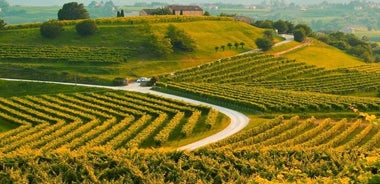 Día en coche de lujo con degustación de Prosecco desde Venecia