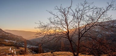 Excursión a La Alpujarra en Grupo Reducido desde Granada 