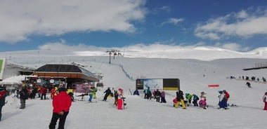 Excursión privada de un día a la estación de esquí de Gudauri desde Tbilisi