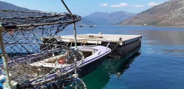 Ferme de moules et d'huîtres avec visite de Perast Visite privée