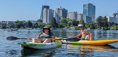 Excursión privada en kayak por Viena