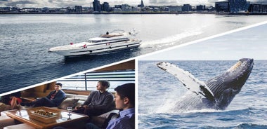 Reykjavik: Whale Watching and Dolphin Watching Yacht Cruise