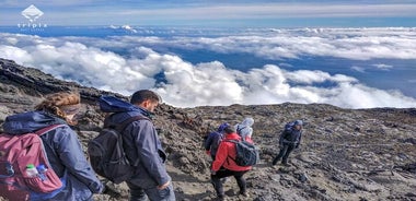 Scala il monte Pico con una guida professionista