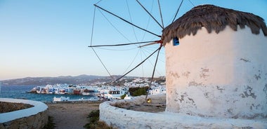 Desde Atenas: tour diario a Mykonos