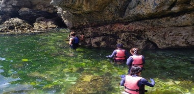 Aventura en kayak: salto desde acantilados, cuevas marinas, snorkel y almuerzo