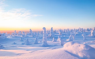 Riisitunturi National Park