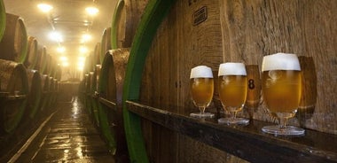 Pilsen Highlights Tour per piccoli gruppi e Pilsner Brewery con degustazione di pranzo e birra