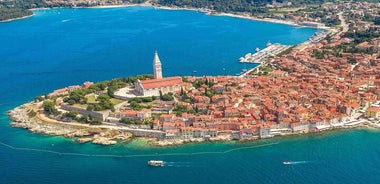 Vrsar, Lim Fjord y Rovinj Day Tour en barco con bebidas