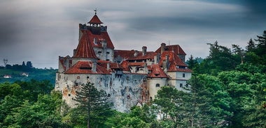 Tagesausflug zu Draculas Schloss, Peles Schloss und mittelalterlichem Brasov