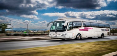 Fiumicino flugvöllur: Rútuferð til/frá Róm Termini