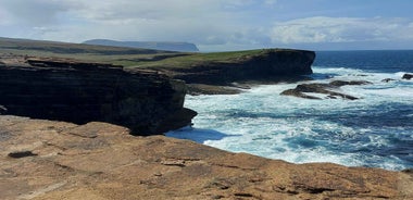 Orkney: Vestur-Meginlands Hópdagsferð