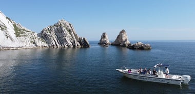 Excursion guidée en bateau le long de la Riviera du Conero