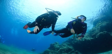 Experiencia de introducción al buceo en Lanzarote