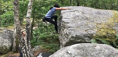 Half-Day Bouldering in Fontainebleau