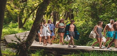 Tour delle cascate di Krka, degustazione di cibo e vino da Spalato