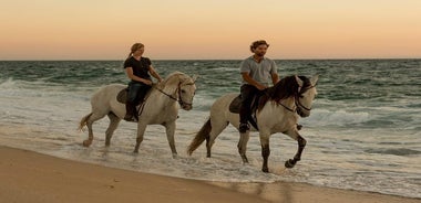 Reiten am Strand