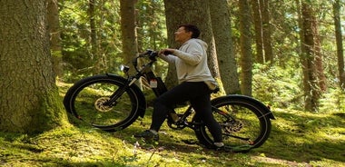 3-stündiger elektrischer Fatbike-Verleih