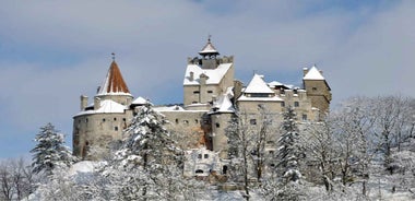 Private tour Transylvania: UNESCO Gems and Legend of Dracula