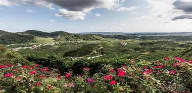 Private Prosecco Tour, with a certified Sommelier 