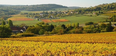 Excursion à vélo en Bourgogne avec dégustation de vins au départ de Beaune