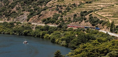 Douro Experience - Promenade en bateau et en train - Déjeuner et dégustation de vin - Tout compris