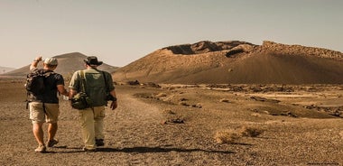 Visita guiada para grupos pequeños por los volcanes de Lanzarote