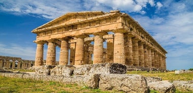 Tour en grupo pequeño a Paestum con un arqueólogo.