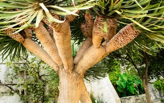 photo of Albori it's a part of Vietri sul Mare, for its picturesque location is included in the category of the most beautiful villages of Amalfi Coast, Italy.