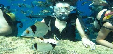 Antalya/Kemer: Scuba Diving Experience with Lunch & Pick up