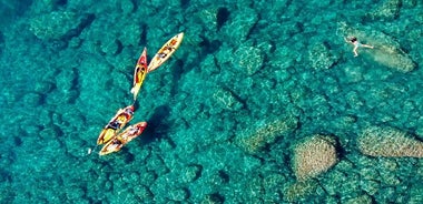 Avventura di un giorno sulla Costa Brava: kayak, snorkeling e salto dalla scogliera con pranzo