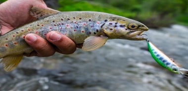 Full-Day Private Fishing and Photography Tour in Armenia