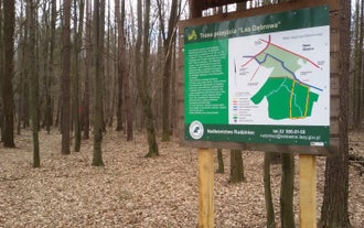 Gliwice - city in Poland