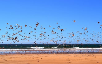Photo of aerial view of Costa da Caparica coastline of glorious sandy beaches, powerful Atlantic waves, Portugal.
